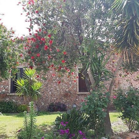 Agriturismo Pingitore Luzzi Luaran gambar