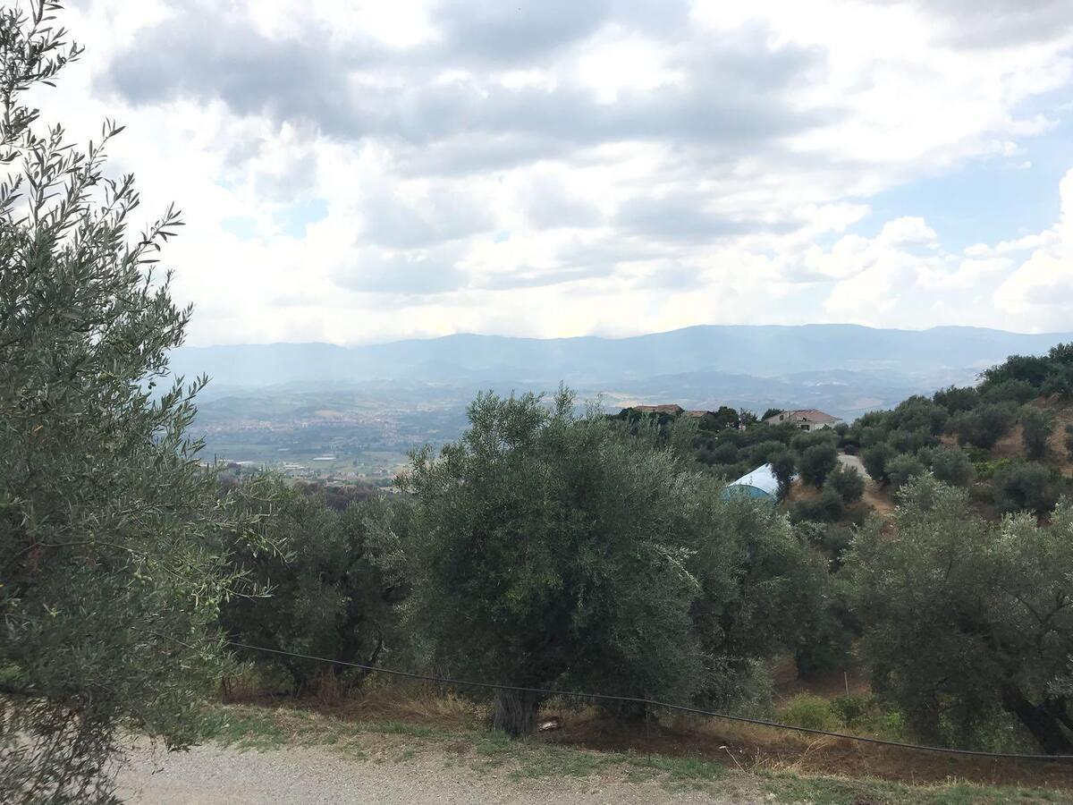 Agriturismo Pingitore Luzzi Luaran gambar