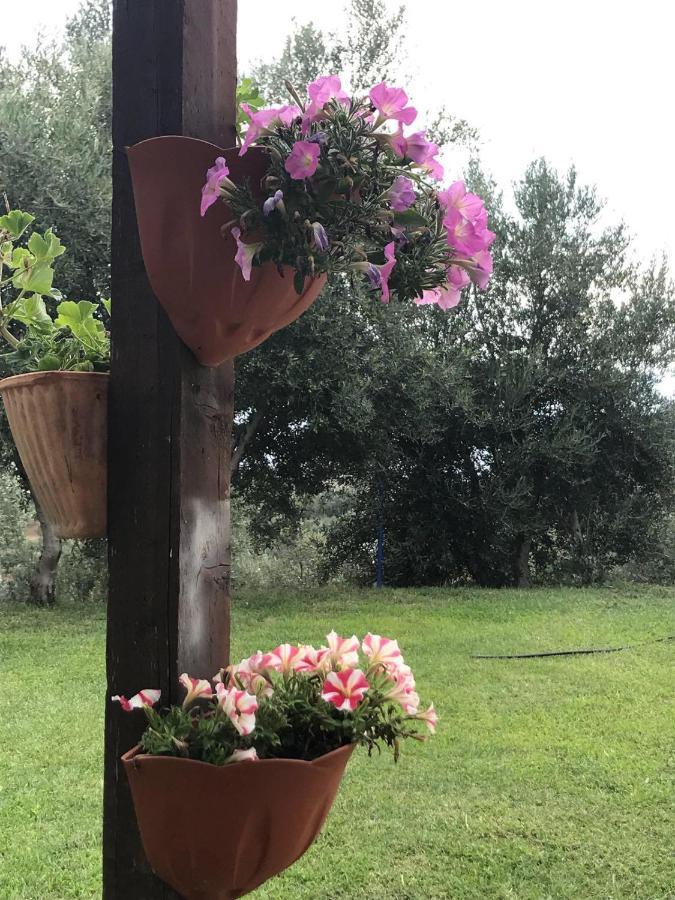 Agriturismo Pingitore Luzzi Luaran gambar