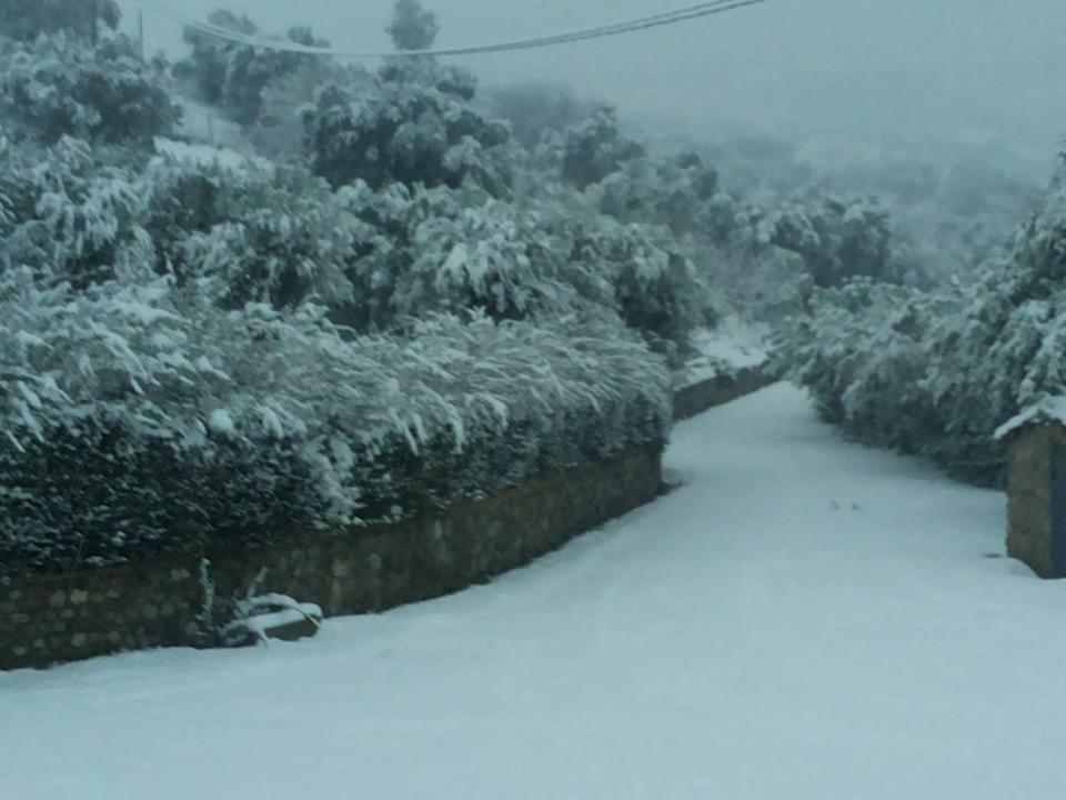 Agriturismo Pingitore Luzzi Luaran gambar